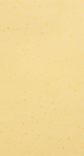 Blank Wall Scroll Paper Panel