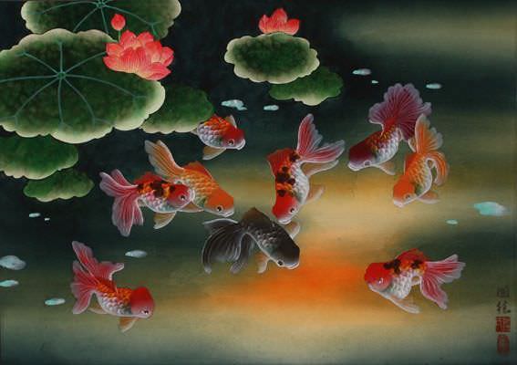 Chinese GoldFish Chinese GoldFish